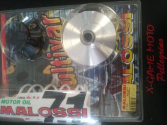 VARIATORE MALOSSI CODICE 5113790