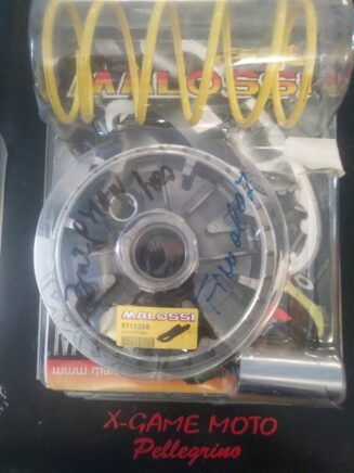 VARIATORE MALOSSI CODICE 5111389 SUZUKI