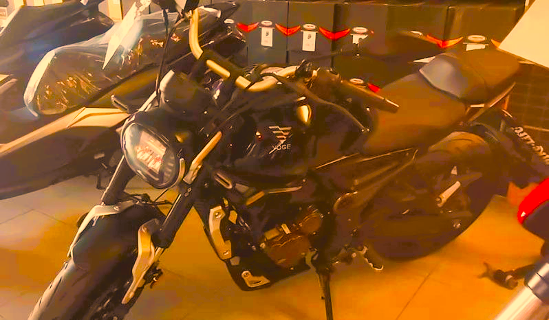 VOGE TROFEO 300